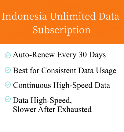 Indonesia Unlimited Data Subscription