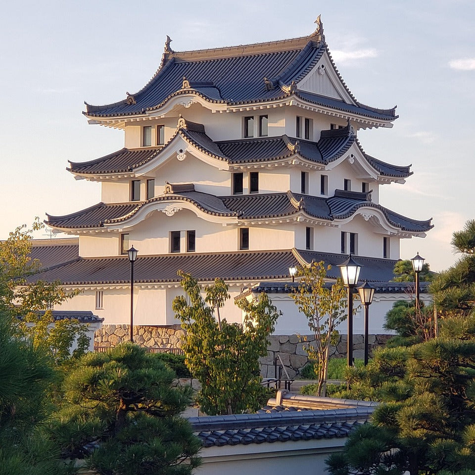 eSIM Japan & South Korea